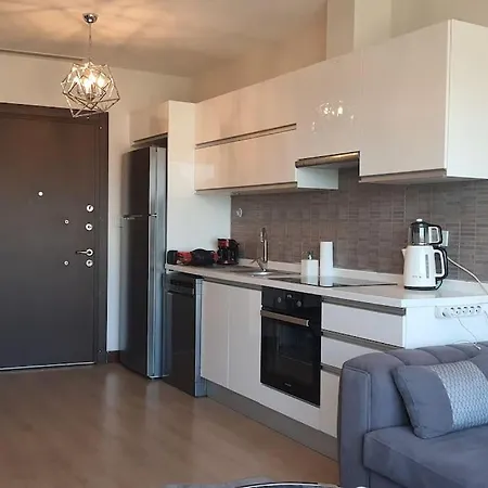 Swimming Pool, Turkish Bath, Sauna, Gym And Much - 2broom,1 Living Lejlighed Istanbul